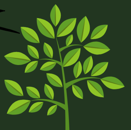 (Français) Journée de l’environnement à Richmond: Célébrons notre planète !